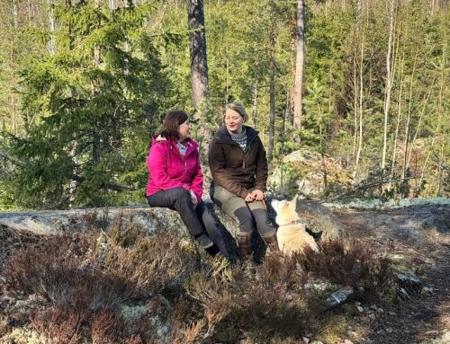 Eläinavusteinen tapaaminen – näin valmistaudut